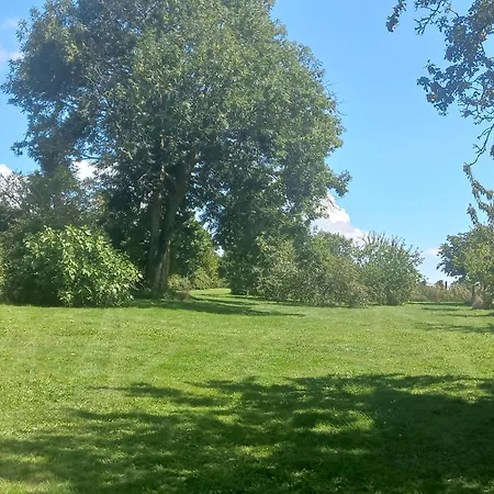 De Charme Floreales Les Myosotis *