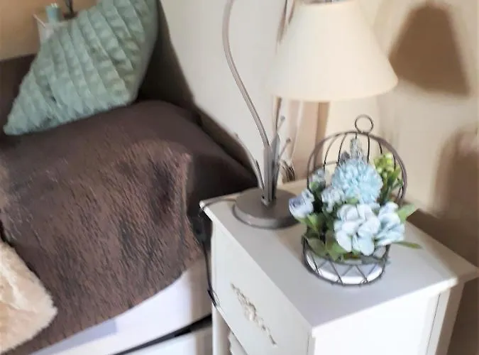 De Charme Floreales Les Myosotis 度假居 阿内勒