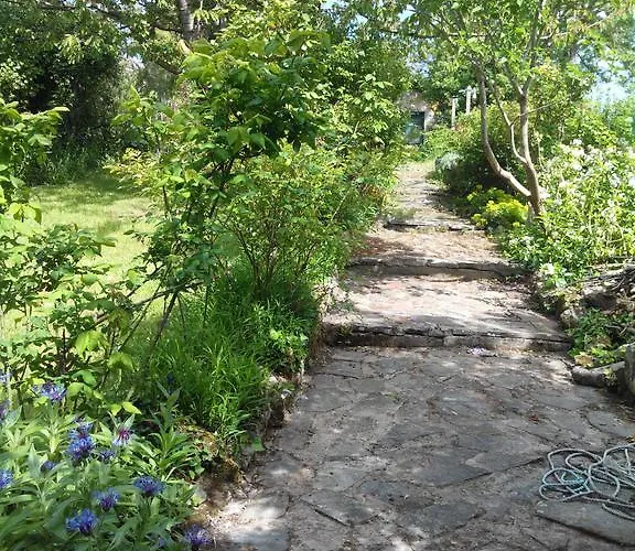 De Charme Floreales Les Myosotis *