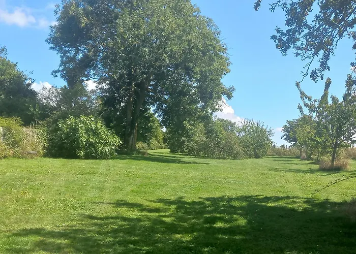 De Charme Floreales Les Myosotis *