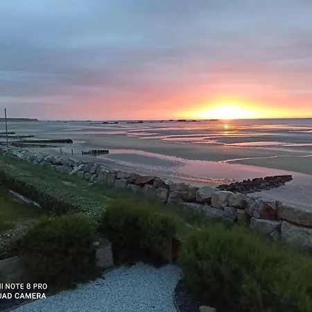 De Charme Floreales Les Myosotis אסנלס