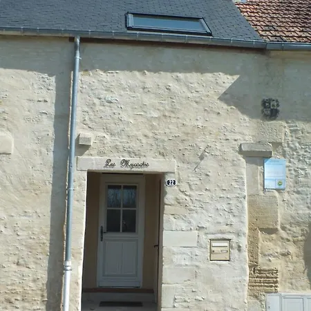 De Charme Floreales Les Myosotis