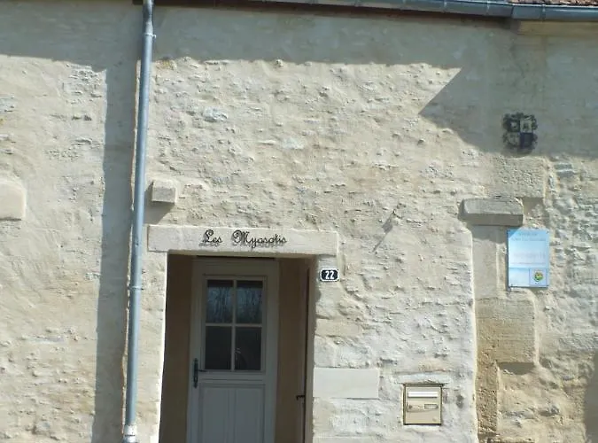 De Charme Floreales Les Myosotis